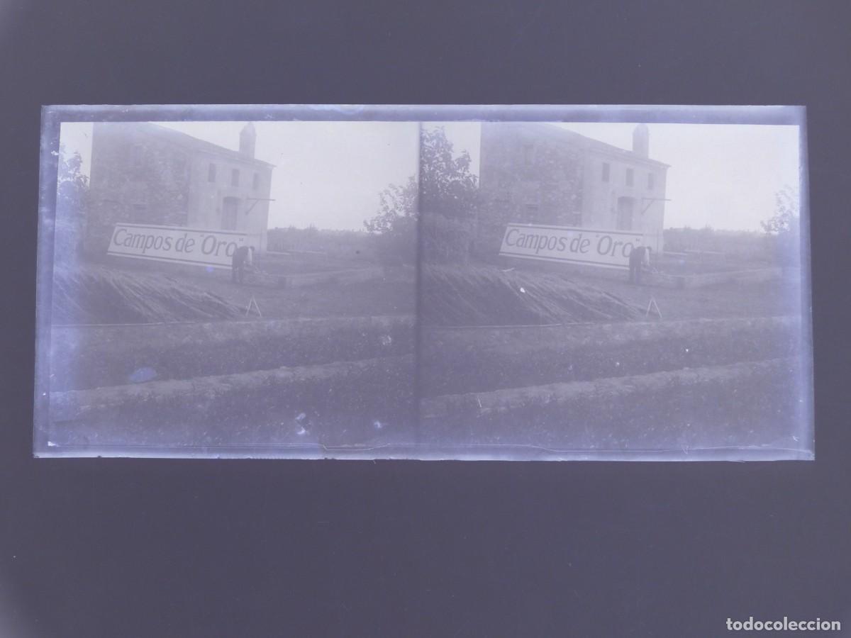 Fotograf&iacute;a antigua: ROCAFORT, VALENCIA - ANTIGUA PLACA DE CRISTAL NEGATIVO - A&Ntilde;OS 1910-1920