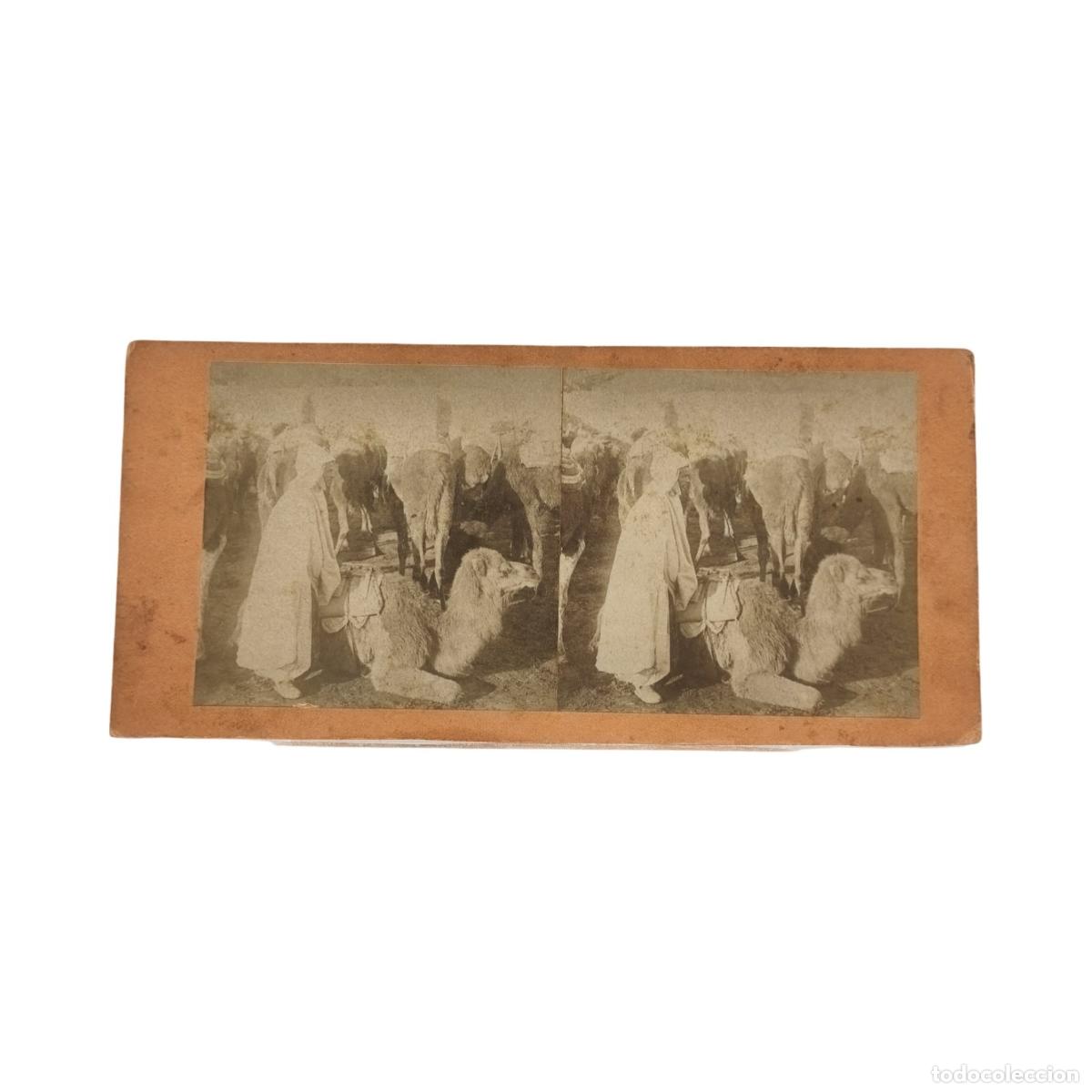 Fotograf&iacute;a antigua: Foto Estereosc&oacute;pica Antigua. Caravana de Camellos y Beduino Norte de &Aacute;frica Oriente c. 1870. 18x9 cm