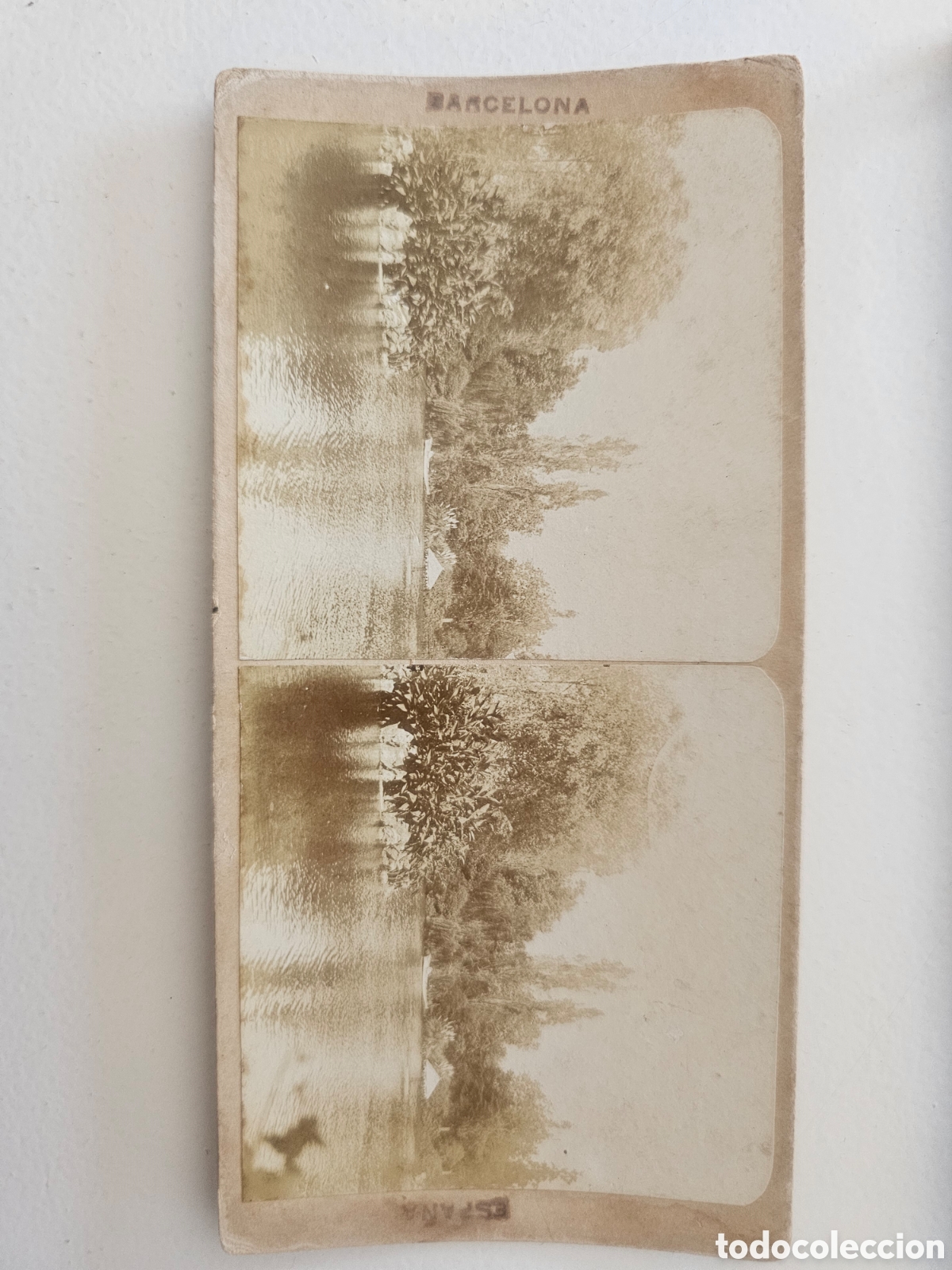 Fotograf&iacute;a antigua: Foto estereo Barcelona Lago Parque de la Ciudadela c. 1890-19001