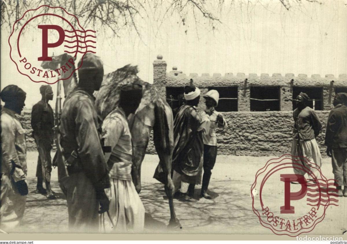 Fotograf&iacute;a antigua: TCHAD GRADE PALABRAND AVEC UN DIGNITAIRES 18*13CM AFRIQUE AFRICA AFRIKA