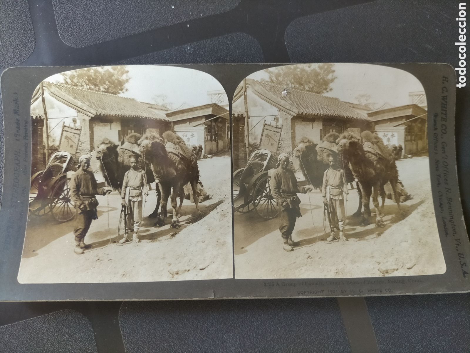 Fotograf&iacute;a antigua: Caravana de camellos chino Pek&iacute;n principios del novecientos