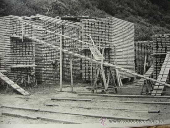 Fotografia antica: MADERAS DEL VALLE DE ARAN.APEFSA.12X18.SOBRE 1960.SERRERIA DE BOSOST.ABETO SECANDO.LERIDA