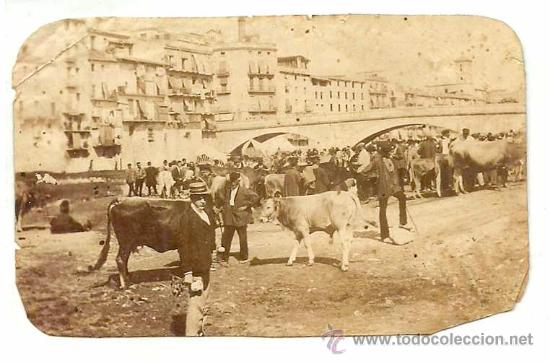 Fotograf&iacute;a antigua: Feria o mercado de ganado - circa 1900?