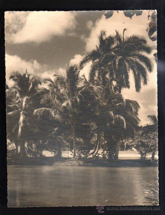 Fotograf&iacute;a antigua: CUBA. FOTOGRAFIA DE PAISAJE CUBANO. 25 X 20CM.