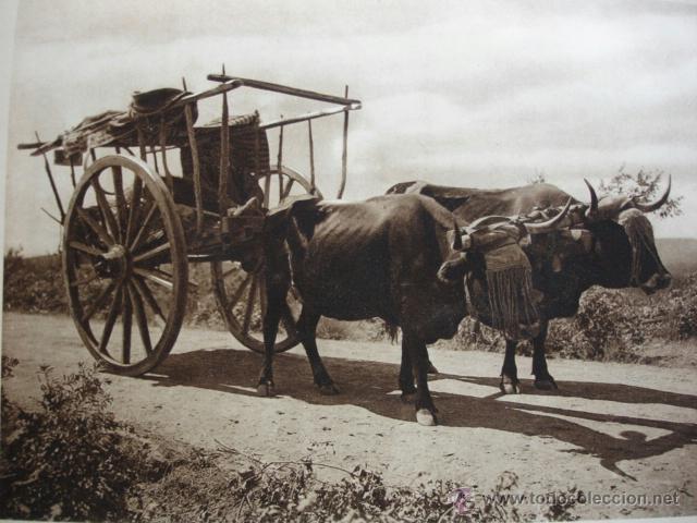 Fotografia antica: CARRO DE BUEYES .DEL LIBRO DAS UNBEKANNTE SPANIEN.BERLIN 1922.15X21