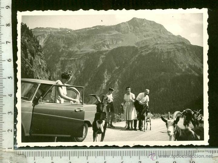 Fotograf&iacute;a antigua: FOTOGRAFIA  DE MONTA&Ntilde;A CON CABRAS MONTESAS