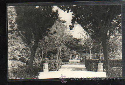 Photographie ancienne: FOTOGRAFIA ANTIGUA. CADIZ. ALAMEDA APODACA. GOMEZ DEL CASTILLO. 14 X 9CM