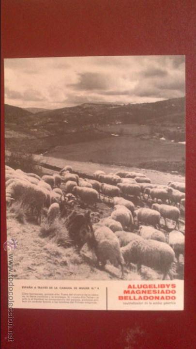 Fotograf&iacute;a antigua: TARJETON FOTOGRAFIA Y PUBLICIDAD IBYS, ESPA&Ntilde;A VISTA POR LA CAMARA DE MULLER, PIRINEO ARAGONES  N&ordm; 4