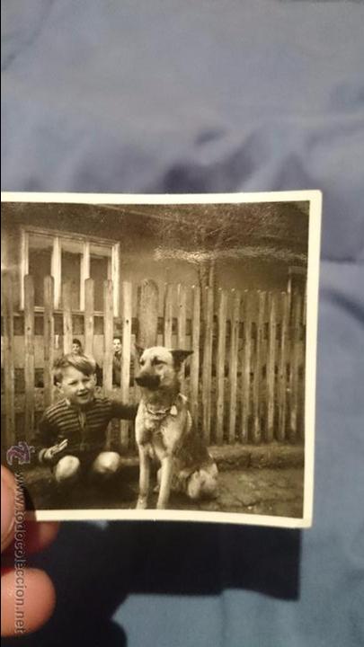 Alte Fotografie: ANTIGUA FOTOGRAFIA, NI&Ntilde;O ALEMAN CON SU PERRO. MUY BONITA