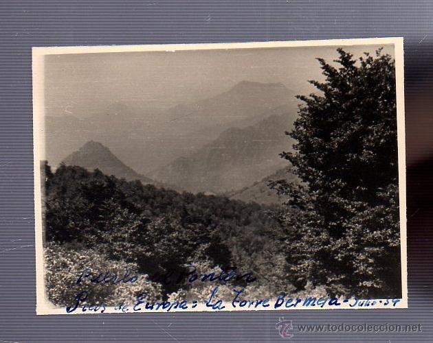 Fotografia antica: ANTIGUA FOTO. PICOS DE EUROPA. LA TORRE BERMEJA. 11 X 8CM