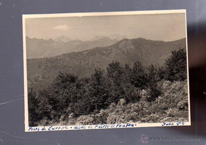 Fotograf&iacute;a antigua: ANTIGUA FOTO. PICOS DE EUROPA. DESDE EL PUERTO DE PONTON. 11 X 8CM
