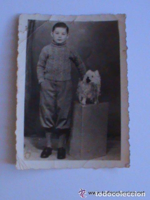 Fotograf&iacute;a antigua: FOTO DE ESTUDIO DE NI&Ntilde;O CON LOS PANTALONES DE TINTIN Y PERRITO , A&Ntilde;O 1950