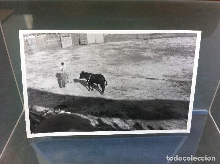 Fotografia antica: FOTOGRAF&Iacute;A DE 1969 (TOROS EN  ARZ&Uacute;A) GALICIA. MEDIDAS: 8,5 x 13,5cm