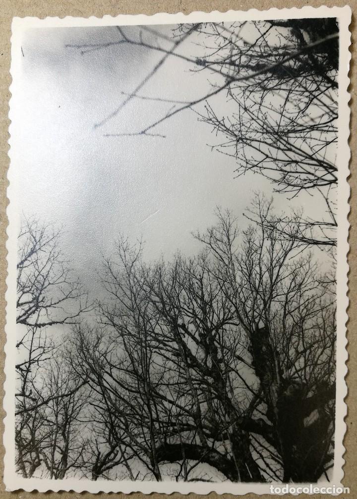 Fotograf&iacute;a antigua: FOTO ANTIGUA ORIGINAL E INEDITA. FOTOS. A&Ntilde;O 1964. MEDIDAS 102 MM X 72 MM.