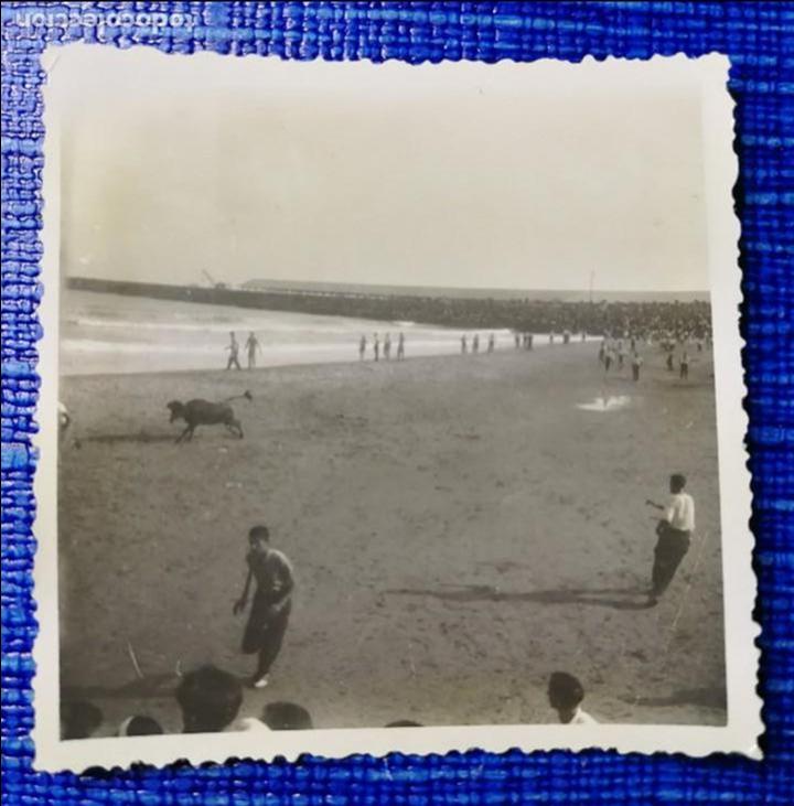 Fotograf&iacute;a antigua: Antigua fotograf&iacute;a. Toros. vaquillas en la playa. foto.