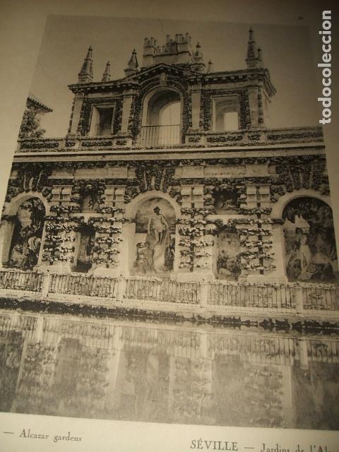 Fotografia antica: SEVILLA JARDINES DEL ALCAZAR DETALLE CALOTIPO YERBURY 1926 23,5 X 32 CMTS