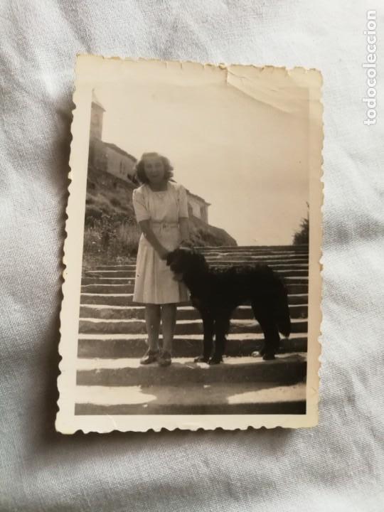 Fotografia antica: Antigua fotograf&iacute;a. Chica con un perro. Fotos a&ntilde;os 40
