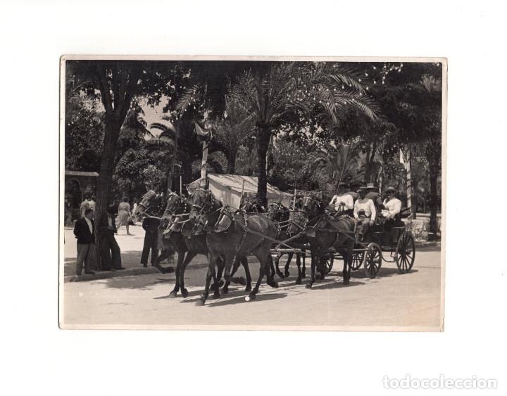 Fotografia antiga: C&Oacute;RDOBA.- FERIA NUESTRA SE&Ntilde;ORA DE LA SALUD. COCHE DE CABALLOS. 12 X 17 CM