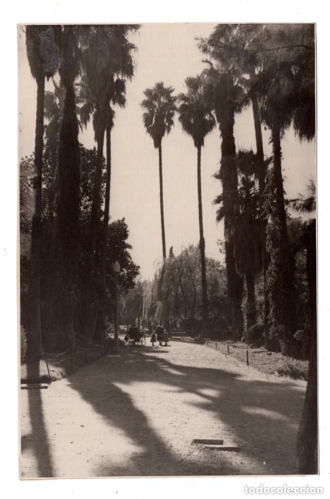 Photographie ancienne: BADAJOZ.- PARQUE DE CASTELAR. FOTO PESINI.