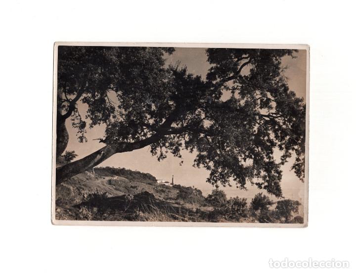 Fotograf&iacute;a antigua: C&Oacute;RDOBA.- VISTA DEL SAGRADO CORAZ&Oacute;N DESDE LAS ERMITAS 12 X 17,5 CM