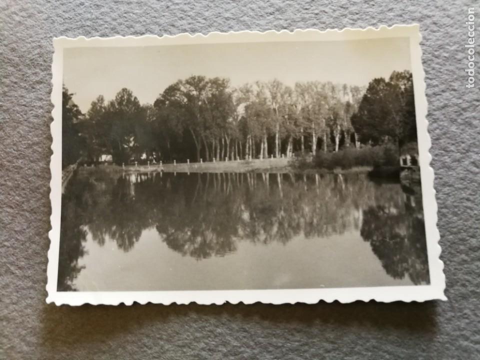 Fotografia antiga: Antigua fotograf&iacute;a. Despe&ntilde;aperros. Jaen. Foto a&ntilde;os 50.