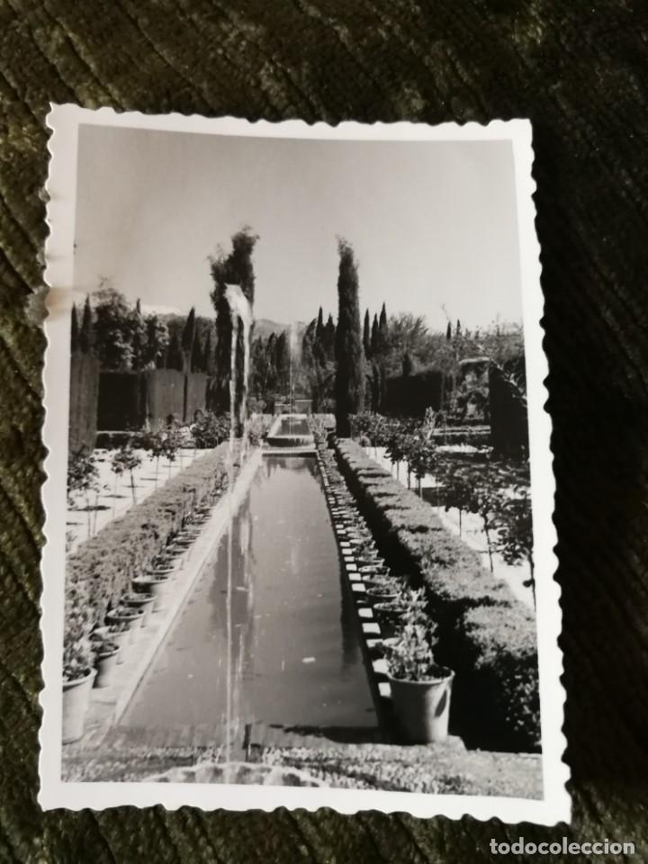 Fotograf&iacute;a antigua: Antigua fotograf&iacute;a de granada. Foto a&ntilde;o 1955