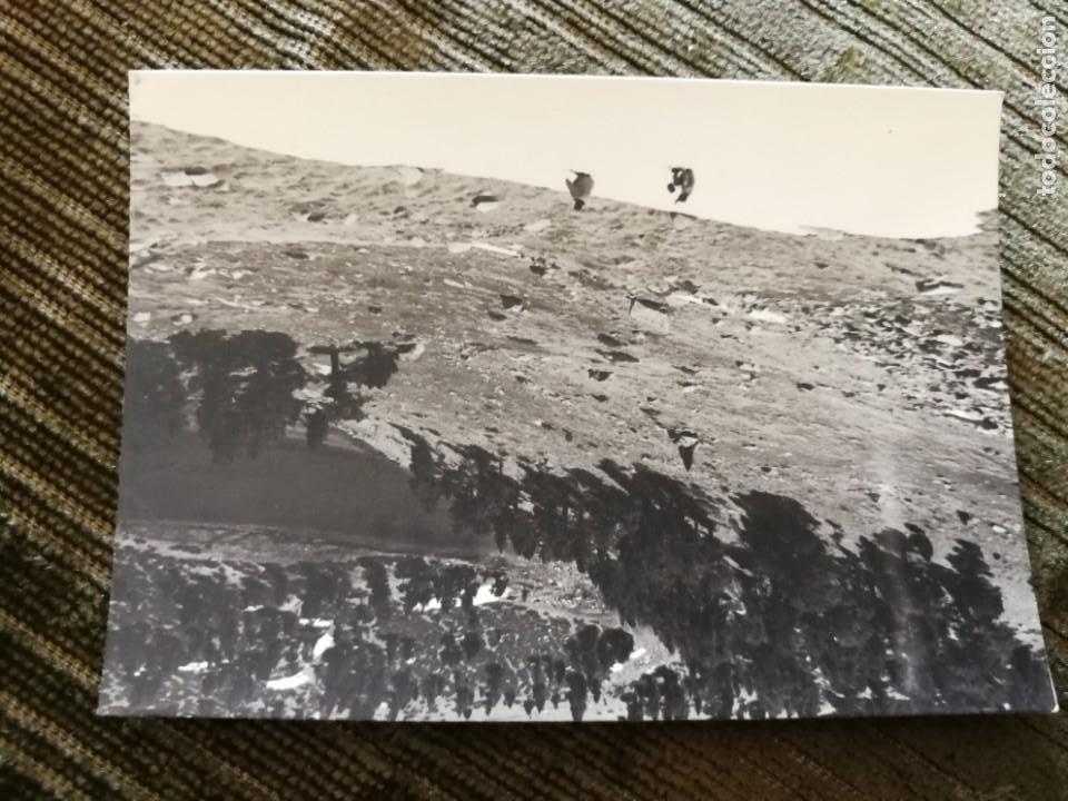 Fotografia antiga: Antigua fotograf&iacute;a de lles. Provincia de L&eacute;rida. Foto a&ntilde;os 50