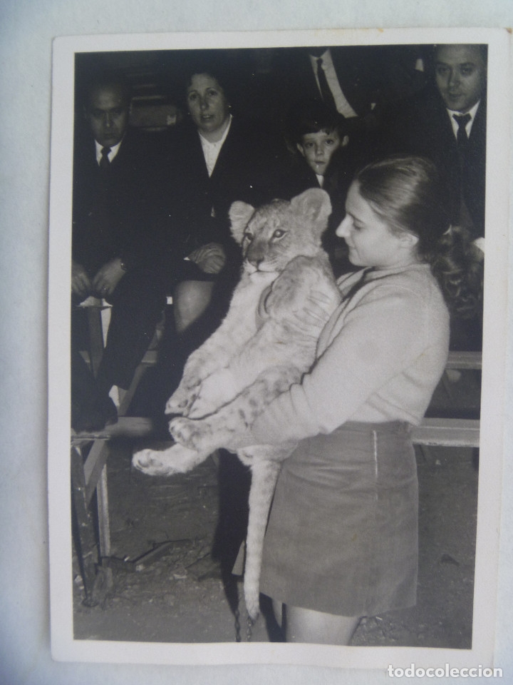 Fotografia antiga: FOTO DE NI&Ntilde;A CON UN CACHORRO DE LEON. PARECE UN CIRCO
