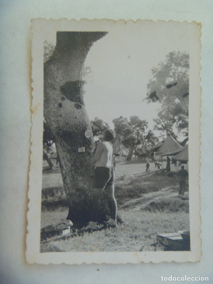 Fotografia antica: FOTO DE MILITAR EN CALZONAS EN CAMPAMENTO AFEITANDOSE, ESPEJO EN UN ARBOL. A&Ntilde;OS 40