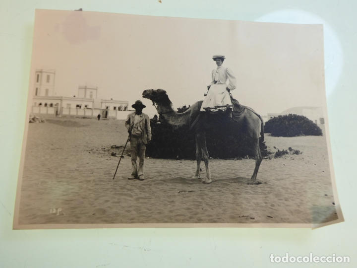 Fotografia antica: Fotograf&iacute;a Principios de siglo XX. Se&ntilde;ora en camello. Desierto a identificar. 16 x 11 cm.
