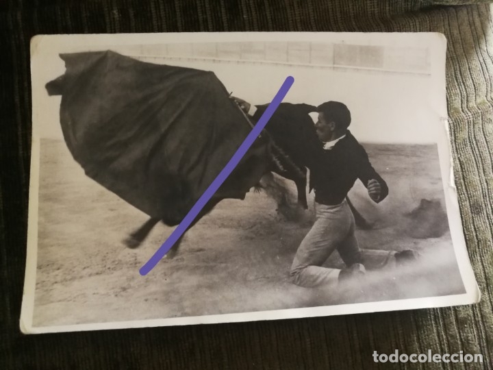 Fotograf&iacute;a antigua: Fotograf&iacute;a antigua. Torero. Plaza de toros. foto a&ntilde;os 60.