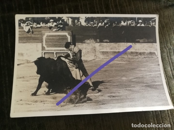 Photographie ancienne: Fotograf&iacute;a antigua. Torero. Plaza de toros. foto a&ntilde;os 60.