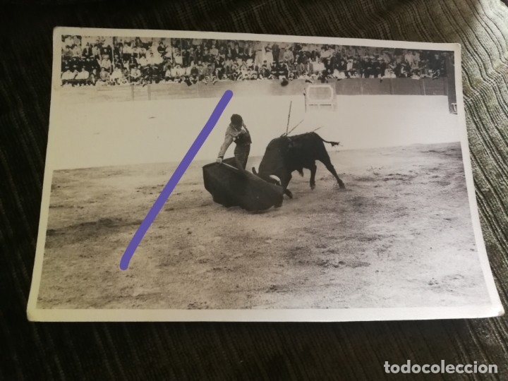 Fotograf&iacute;a antigua: Fotograf&iacute;a antigua. Torero. Plaza de toros. foto a&ntilde;os 60.