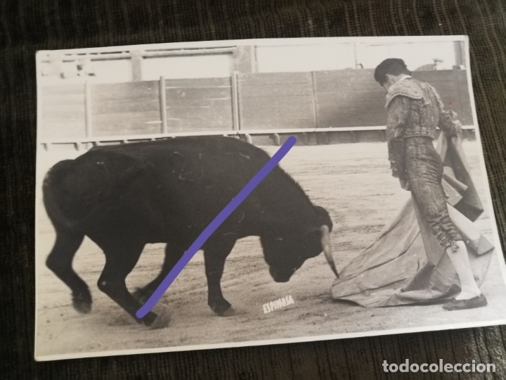 Photographie ancienne: Fotograf&iacute;a antigua. Torero. Plaza de toros. foto a&ntilde;os 60.