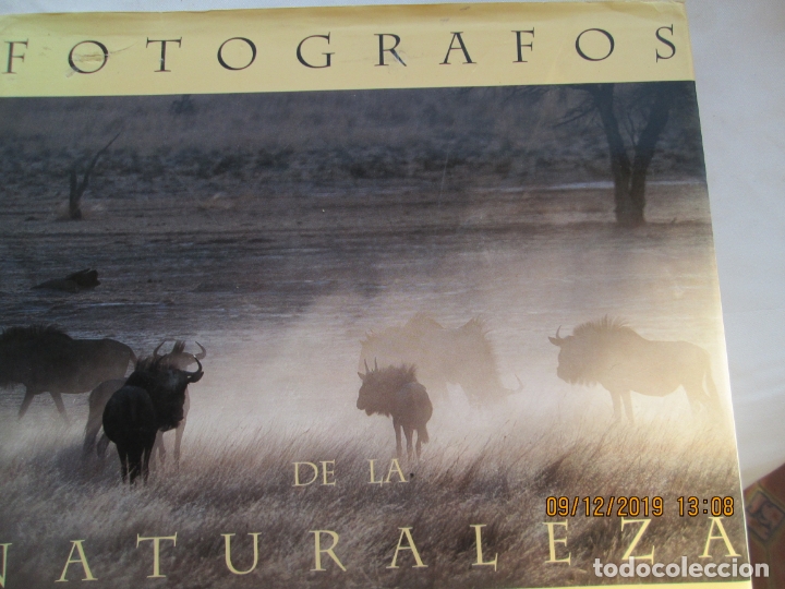 Fotograf&iacute;a antigua: FOTOGRAFOS DE LA NATURALEZA-ORIOL ALAMANY FERNANDO BAND&Iacute;N . 1997  EDIC. CENTRAL HISPANO