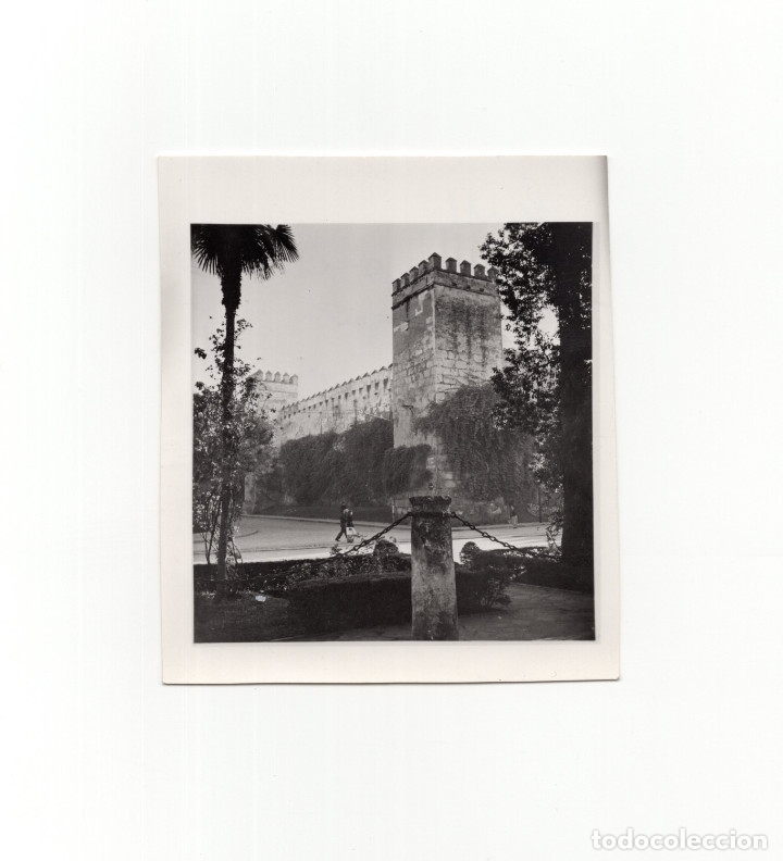 Fotograf&iacute;a antigua: SEVILLA.- JARDINES DEL ALC&Aacute;ZAR. 8,5 X10. FOTO AIR FAMA.