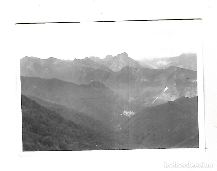Fotograf&iacute;a antigua: ANTIGUA FOTOGRAFIA. 1965. PAJARES, ASTURIAS. 10 X 7CM