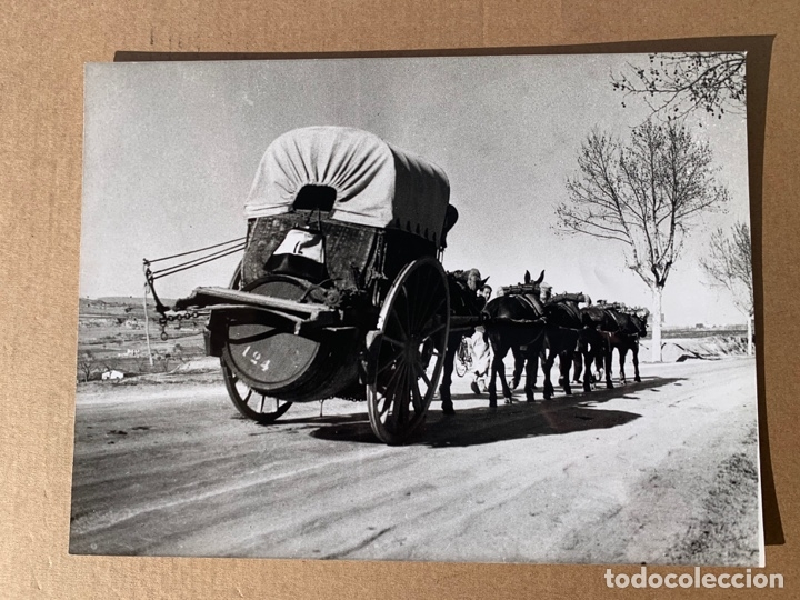 Fotograf&iacute;a antigua: FOTO ARCHIVO CUYAS VILOBI DEL PENEDES CARRO DEL VINO F-0187