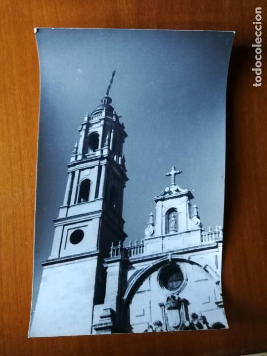 Fotograf&iacute;a antigua: Fotograf&iacute;a antigua de leon. Foto a&ntilde;os 60