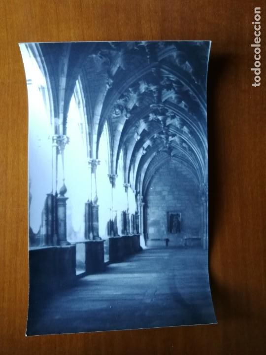 Fotograf&iacute;a antigua: Fotograf&iacute;a antigua de leon. Foto a&ntilde;os 60