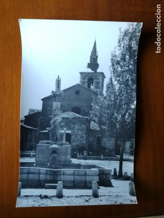 Fotograf&iacute;a antigua: Fotograf&iacute;a antigua de leon. Foto a&ntilde;os 60