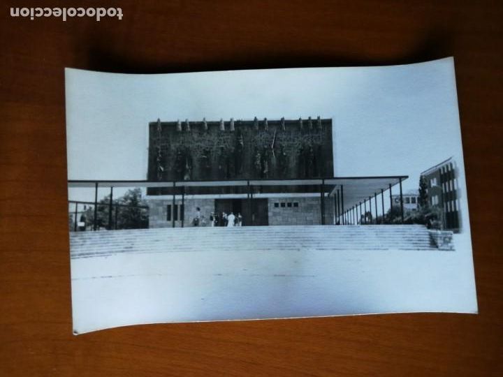 Fotografia antiga: Fotograf&iacute;a antigua de leon. Foto a&ntilde;os 60