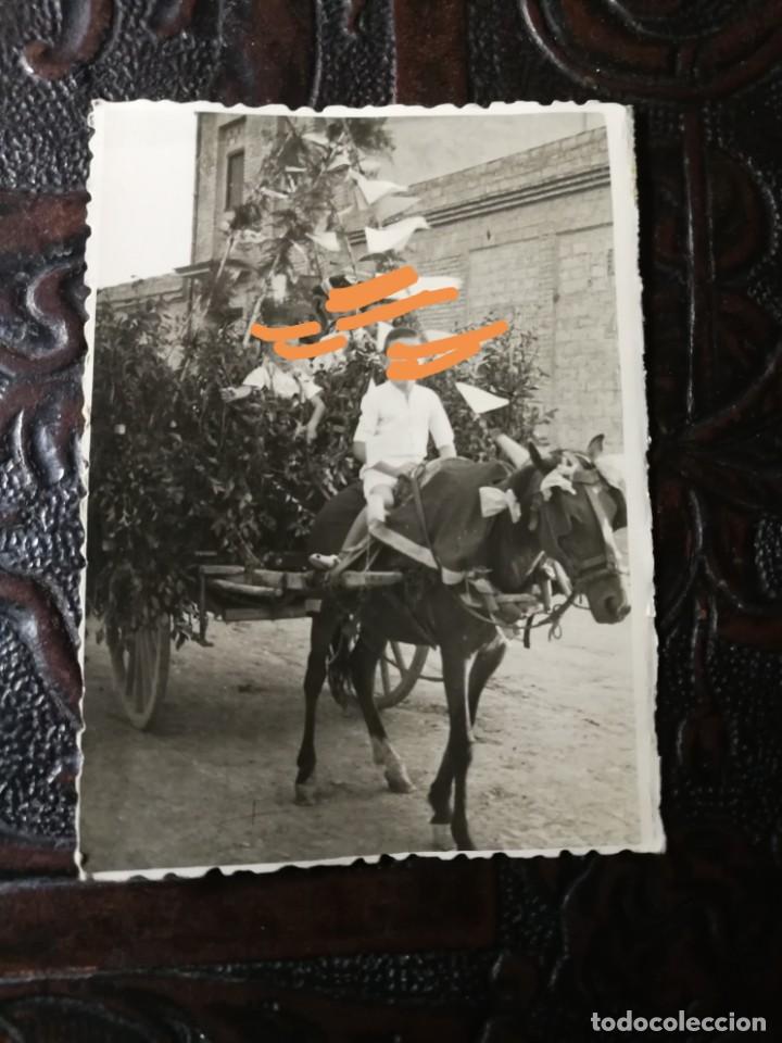 Fotografia antica: Antigua fotograf&iacute;a. Ni&ntilde;o subido en el borrico. Fiestas de Alfafar. A&ntilde;os 50.