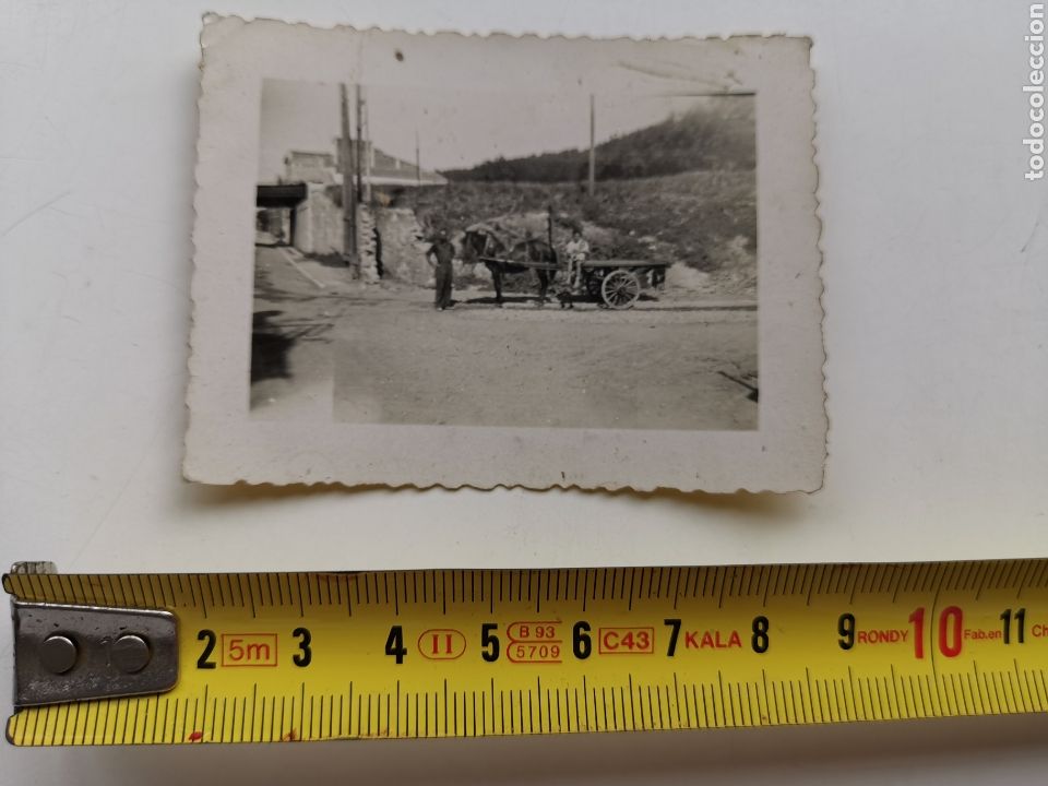 Photographie ancienne: Fotograf&iacute;a miniatura, de Carro de carga animal 1940s-1950's. Espa&ntilde;a