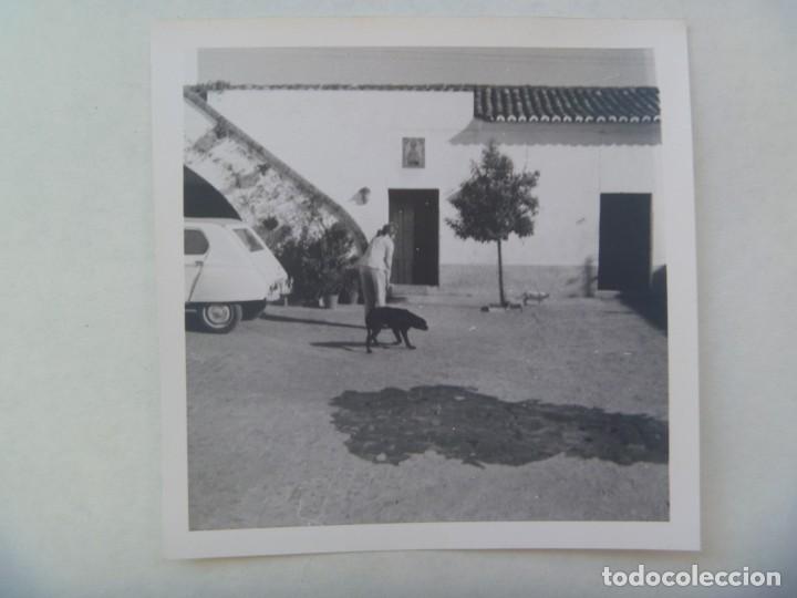 Fotograf&iacute;a antigua: FOTO DE MUJER Y PERRO, COCHE DE EPOCA CITROEN