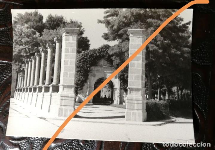 Fotografia antiga: Antigua fotograf&iacute;a de zamora. foto a&ntilde;o 1964.
