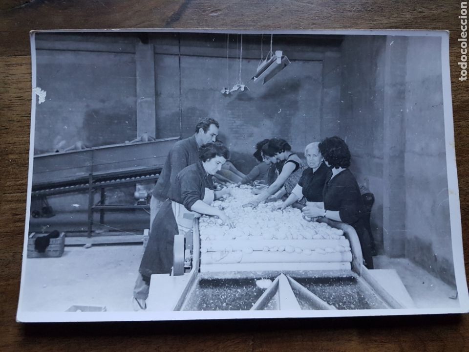 Fotograf&iacute;a antigua: Foto Feliu antigua fabrica patatas Valencia
