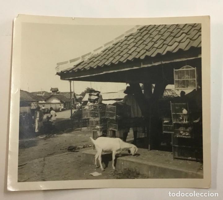 Alte Fotografie: FOTO DE BATAVIA. MERCAT D'OCELLS. MERCADO DE PAJAROS.