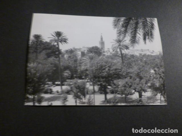 Alte Fotografie: SEVILLA ANTIGUA FOTOGRAFIA 7,5 X 10,5 CMTS