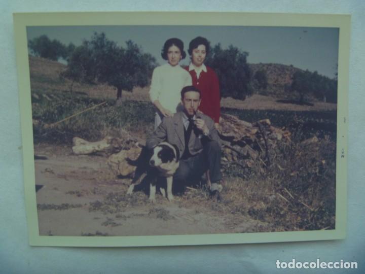 Fotografia antiga: FOTO DE JOVENES CON PERRO EN EL CAMPO, EL HOMBRE FUMANDO EN PIPA